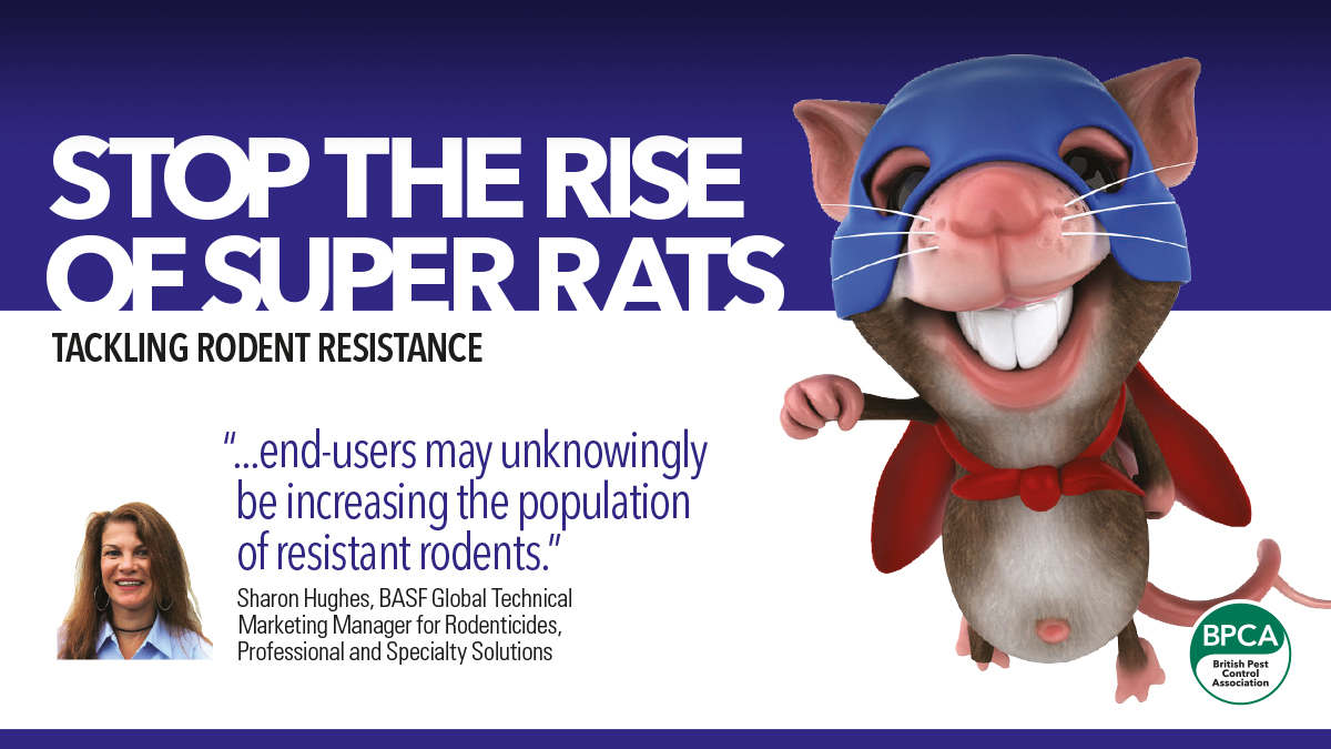 Tackling rodent resistance BPCA Pest control rodent resistance Tackling rodent resistance BPCA Pest control rodent resistance